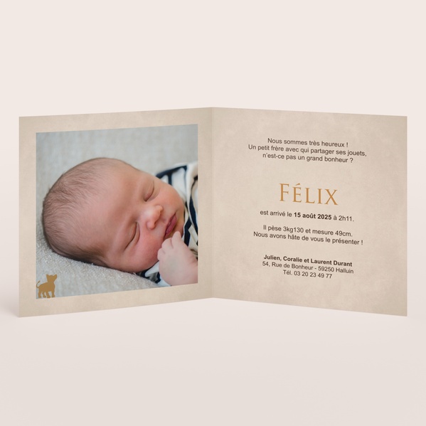 Faire part naissance lionceau et initiale TA05500-2000025-02-1
