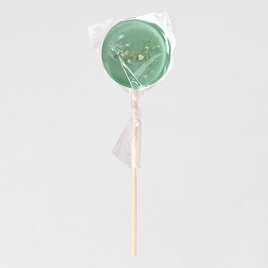 muntgroene artisanale lolly met gipskruid TA01981-2200004-03 2
