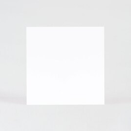 vierkante blanco kaart in mat papier TA0330-1800002-03 2