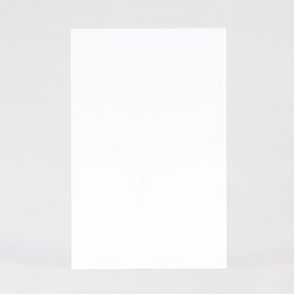 carte 100 vierge rectangulaire effet brillant format portrait TA0330-1800007-02 2