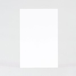 carte vierge simple verticale petit format effet mat TA0330-1800054-02 2