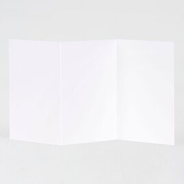 carte rectangulaire triptyque 100 personnalisable 8 5 x 12 cm avec dorure TA0330-2100025-02 2
