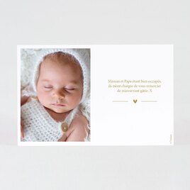 carte de remerciements naissance laurier TA0517-1900003-02 2