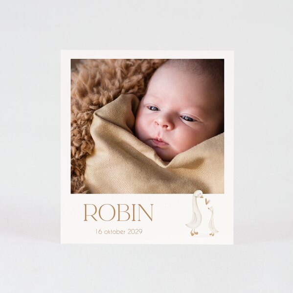 geboorte bedankkaartje met foto en ganzen TA0517-2300022-03 1