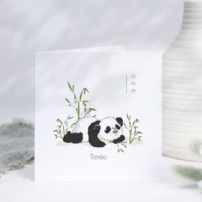 faire-part-naissance-panda-et-bambou-TA05500-2200027-02-1