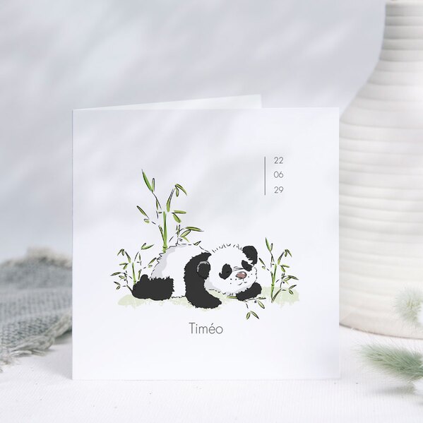 faire part naissance panda et bambou TA05500-2200027-02 1