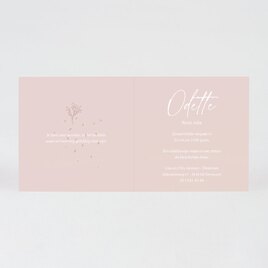 roze geboortekaart met takje TA05500-2200042-03 2