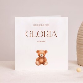 geboortekaartje met aquarel teddybeer TA05500-2400003-03 1