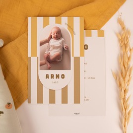 faire part naissance cadre ovale et fond ligne TA05500-2600118-02 3