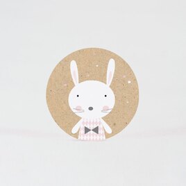 sluitzegel met schattig konijntje 3 7 cm TA05905-2000120-03 2
