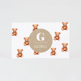 sticker voor bellenblaas met aquarel teddyberen en naam TA05905-2400003-03 2