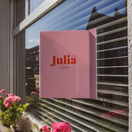 roze colorblocking geboortebord voor raam met naam TA05997-2600012-03 2