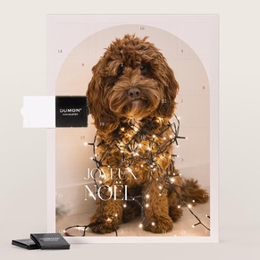 Calendrier de l'avent grande photo animal de compagnie