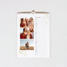 prachtige-jaarkalender-met-goudfolie-en-foto-s-TA0884-2100007-03-1