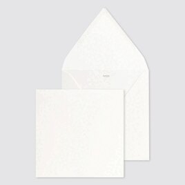 luxe-vierkante-envelop-16-x-16-cm-TA09-09202501-03-1