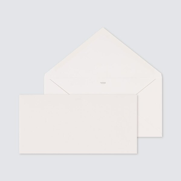enveloppe-rectangle-scintillante-22-x-11-cm-TA09-09606701-02-1