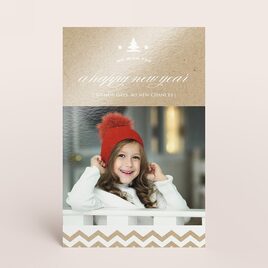 ecolook kerstkaart met patroon TA1188-1700025-03 1