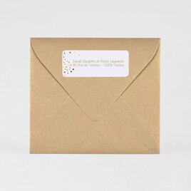 autocollant rectangle noel confettis dores TA11905-2000001-02 2