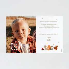 carte d invitation anniversaire enfant animaux de la foret et grande photo TA1327-2200014-02 2