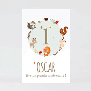 carte-d-invitation-anniversaire-enfant-animaux-de-la-foret-TA1327-2200015-02-1