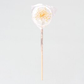 artisanale lolly wit met gouden spikkeltjes TA13981-2100002-03 2