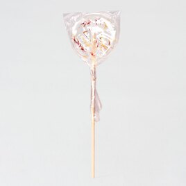 artisanale lolly transparant met droogbloemen TA13981-2100009-03 2