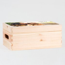 houten kist met klapdeksel foto en tekst TA14822-2300007-03 2