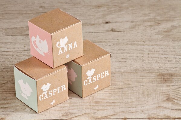 schattig kubus doopsuiker doosje voor tweeling jongen en meisje TA1575-1600063-03 1