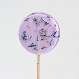 paarse lolly met gedroogde bloemetjes TA183-517-03 1