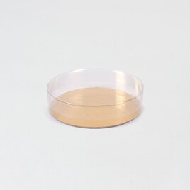 contenant bonbons transparent rond fete TA392-102-02 1