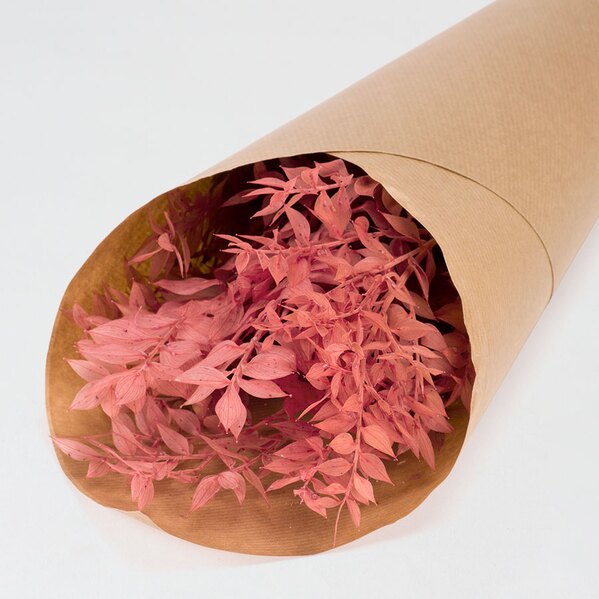 fleurs-sechees-communion-ruscus-rose-poudre-TA482-173-02-1